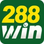 288win com