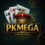 pkmega game